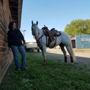 Meet your Posher, Jayne